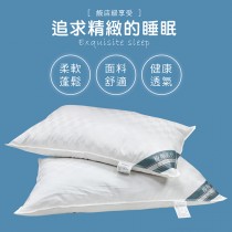 【皮斯佐丹】新一代飯店專用緹花羽絨枕(2顆)