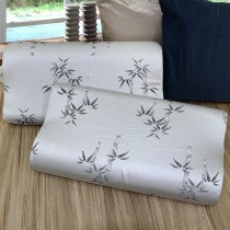 【Victoria】奈米竹碳記憶枕 (二顆)