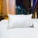 【皮斯佐丹】新一代飯店專用緹花羽絨枕(1顆)